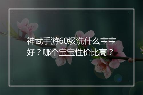 神武手游60级洗什么宝宝好?哪个宝宝性价比高?