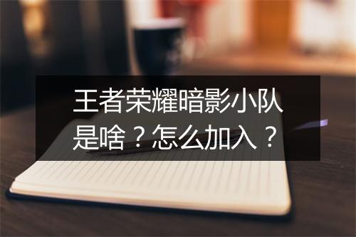 王者荣耀暗影小队是啥？怎么加入？