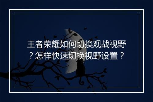 王者荣耀如何切换观战视野?怎样快速切换视野设置?