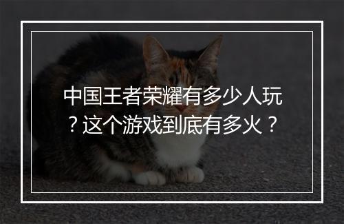 中国王者荣耀有多少人玩?这个游戏到底有多火?