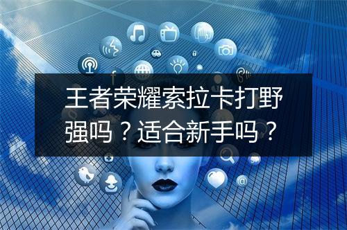 王者荣耀索拉卡打野强吗？适合新手吗？