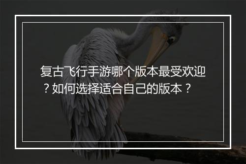 复古飞行手游哪个版本最受欢迎?如何选择适合自己的版本?