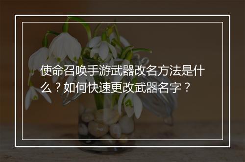 使命召唤手游武器改名方法是什么?如何快速更改武器名字?