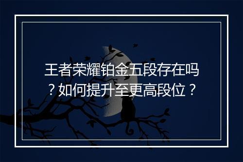王者荣耀铂金五段存在吗？如何提升至更高段位？