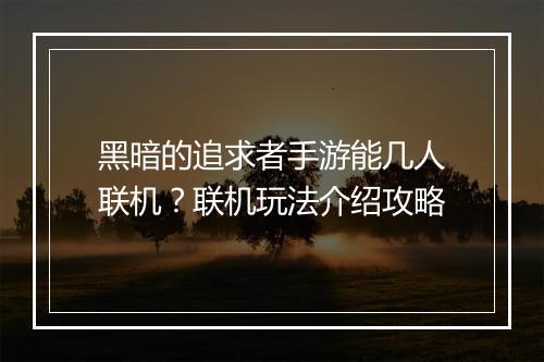 黑暗的追求者手游能几人联机？联机玩法介绍攻略