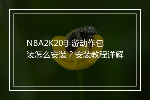 NBA2K20手游动作包装怎么安装?安装教程详解