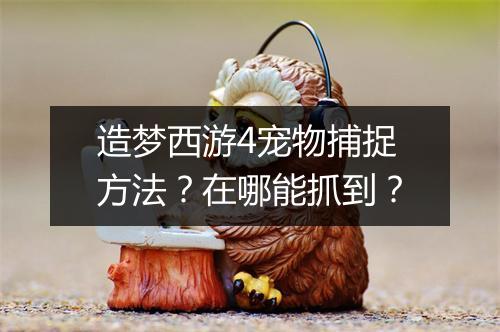 造梦西游4宠物捕捉方法?在哪能抓到?