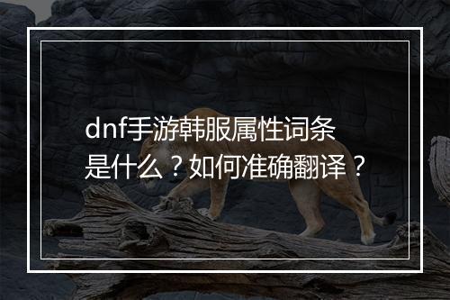 dnf手游韩服属性词条是什么？如何准确翻译？
