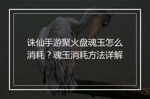 诛仙手游聚火盘魂玉怎么消耗？魂玉消耗方法详解