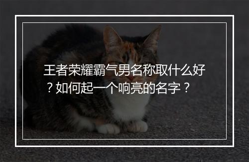 王者荣耀霸气男名称取什么好?如何起一个响亮的名字?