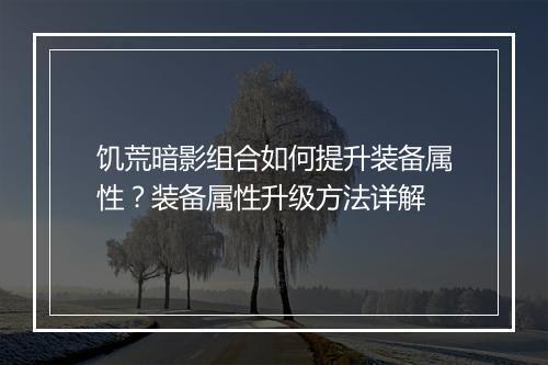 饥荒暗影组合如何提升装备属性？装备属性升级方法详解
