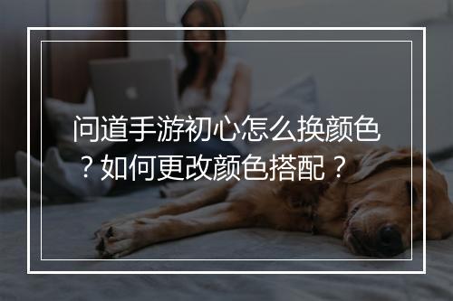 问道手游初心怎么换颜色？如何更改颜色搭配？