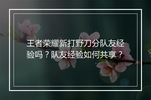 王者荣耀新打野刀分队友经验吗？队友经验如何共享？