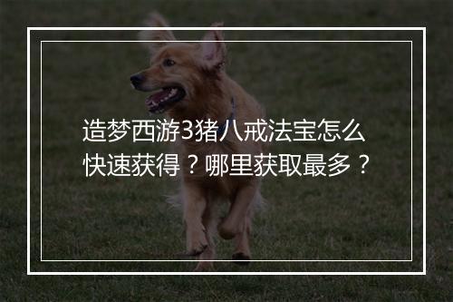 造梦西游3猪八戒法宝怎么快速获得？哪里获取最多？