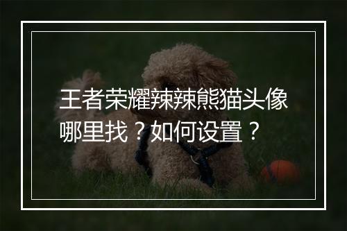 王者荣耀辣辣熊猫头像哪里找？如何设置？