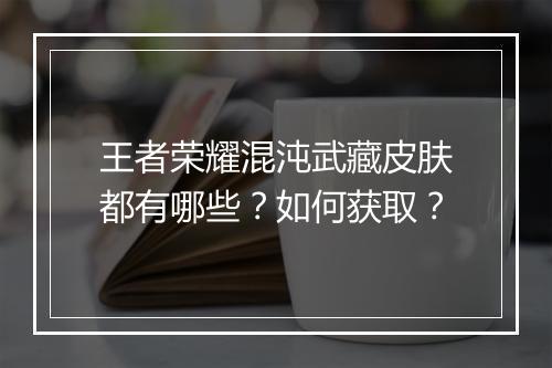 王者荣耀混沌武藏皮肤都有哪些?如何获取?