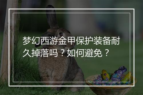 梦幻西游金甲保护装备耐久掉落吗？如何避免？