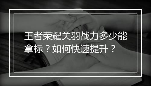 王者荣耀关羽战力多少能拿标?如何快速提升?