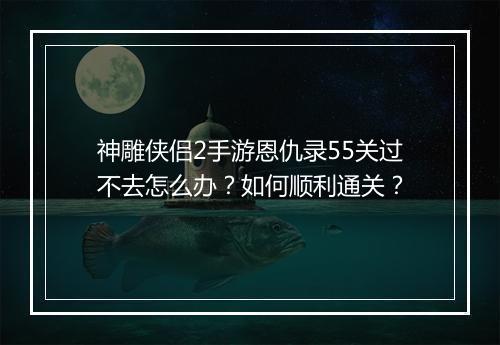神雕侠侣2手游恩仇录55关过不去怎么办?如何顺利通关?