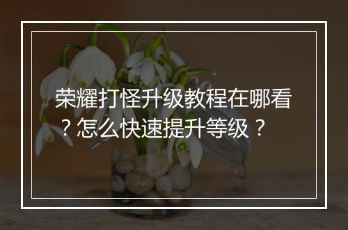 荣耀打怪升级教程在哪看？怎么快速提升等级？