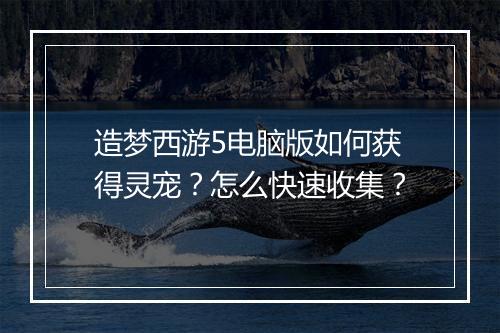 造梦西游5电脑版如何获得灵宠?怎么快速收集?
