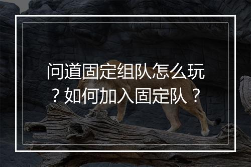 问道固定组队怎么玩?如何加入固定队?