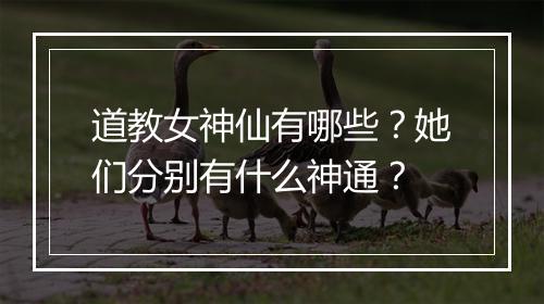道教女神仙有哪些?她们分别有什么神通?