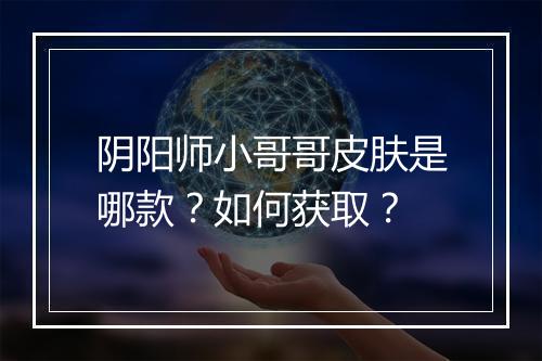 阴阳师小哥哥皮肤是哪款？如何获取？