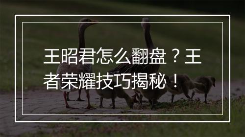 王昭君怎么翻盘？王者荣耀技巧揭秘！