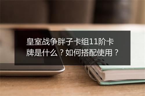 皇室战争胖子卡组11阶卡牌是什么？如何搭配使用？