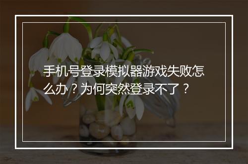 手机号登录模拟器游戏失败怎么办?为何突然登录不了?