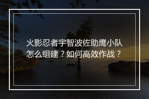 火影忍者宇智波佐助鹰小队怎么组建?如何高效作战?