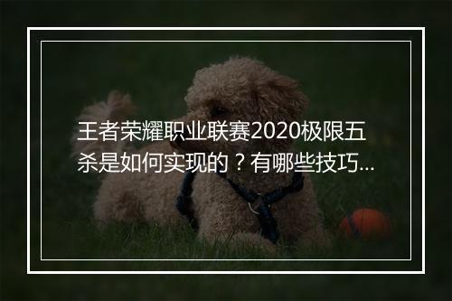 王者荣耀职业联赛2020极限五杀是如何实现的？有哪些技巧？