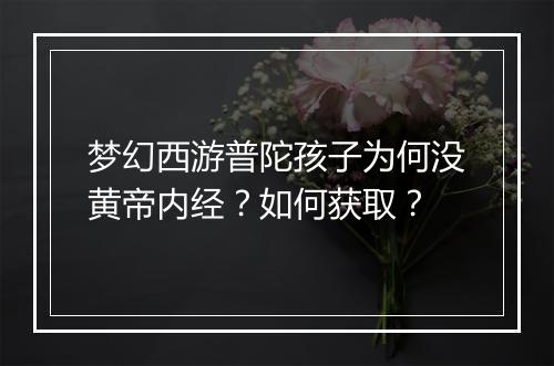 梦幻西游普陀孩子为何没黄帝内经?如何获取?