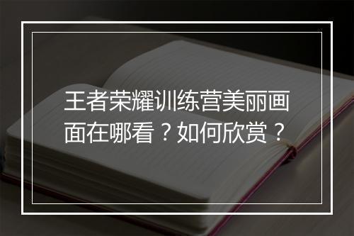 王者荣耀训练营美丽画面在哪看?如何欣赏?