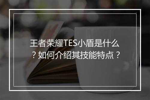王者荣耀TES小盾是什么?如何介绍其技能特点?