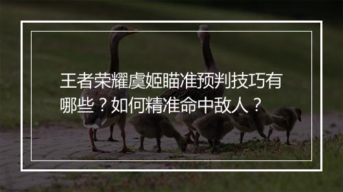 王者荣耀虞姬瞄准预判技巧有哪些？如何精准命中敌人？