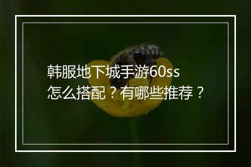 韩服地下城手游60ss怎么搭配？有哪些推荐？