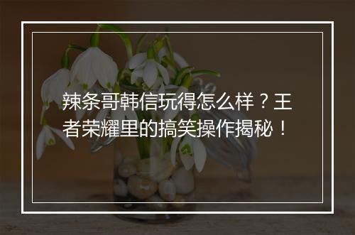 辣条哥韩信玩得怎么样？王者荣耀里的搞笑操作揭秘！