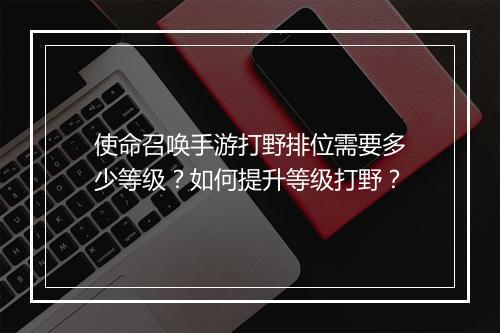 使命召唤手游打野排位需要多少等级?如何提升等级打野?