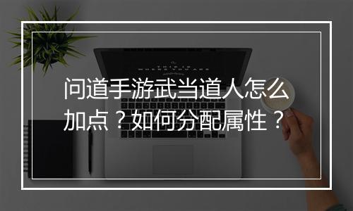 问道手游武当道人怎么加点?如何分配属性?