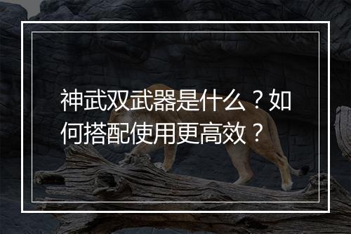 神武双武器是什么？如何搭配使用更高效？