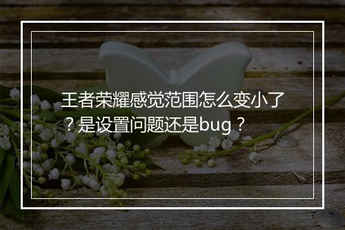 王者荣耀感觉范围怎么变小了？是设置问题还是bug？