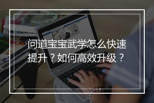 问道宝宝武学怎么快速提升？如何高效升级？
