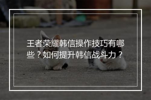 王者荣耀韩信操作技巧有哪些？如何提升韩信战斗力？