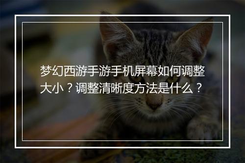 梦幻西游手游手机屏幕如何调整大小?调整清晰度方法是什么?