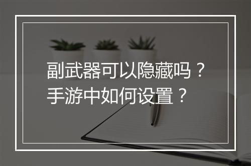 副武器可以隐藏吗?手游中如何设置?