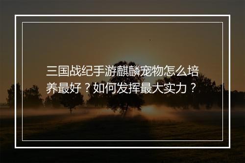 三国战纪手游麒麟宠物怎么培养最好?如何发挥最大实力?