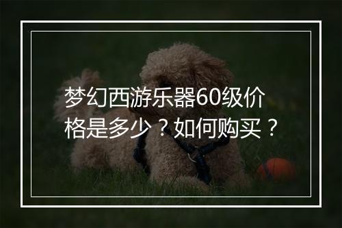 梦幻西游乐器60级价格是多少?如何购买?