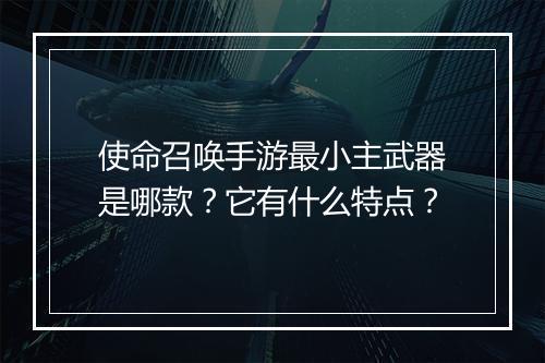 使命召唤手游最小主武器是哪款?它有什么特点?